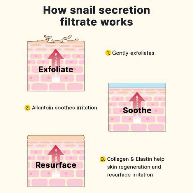 Zomorad.com-photo-cosrx-advanced-snail-92-all-in-one-cream-how-snail-secretion-filtrate-work-نحوه عملکرد فیلتراسیون ترشحات حلزون-07.jpg