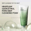 zomorad.com photo Anua HEARTLEAF QUERCETINOL PORE DEEP CLEANSING FOAM 06